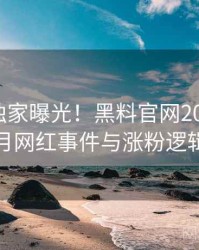 0563. 独家曝光！黑料官网2019年12月网红事件与涨粉逻辑