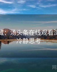 粉丝必藏：汤头条在线观看深度复盘冷静思考