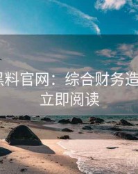 1004. 黑料官网：综合财务造假盘点，立即阅读