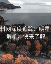 1321. 黑料网深度追踪：明星八卦影响解析，快来了解