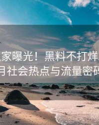 0381. 独家曝光！黑料不打烊2021年8月社会热点与流量密码