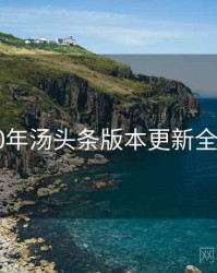 2020年汤头条版本更新全档案
