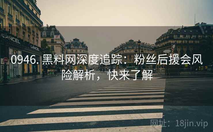 0946. 黑料网深度追踪：粉丝后援会风险解析，快来了解