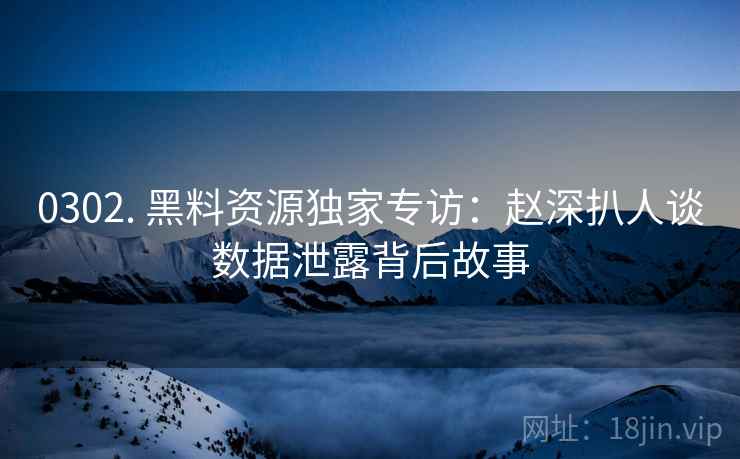 0302. 黑料资源独家专访：赵深扒人谈数据泄露背后故事