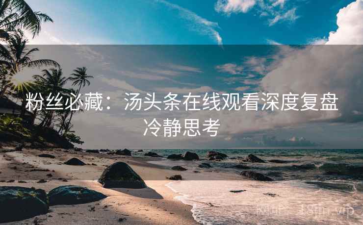 粉丝必藏：汤头条在线观看深度复盘冷静思考