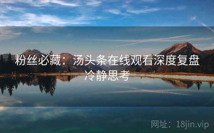 粉丝必藏：汤头条在线观看深度复盘冷静思考